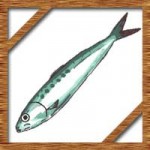 鰯(いわし)の簡単レシピにさばき方!節分の献立にも使えます