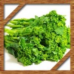 菜の花の保存方法に保存期間は?栄養価に選び方のコツは!