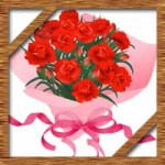 母の日2017年はいつで何月何日?赤いカーネーションの意味由来