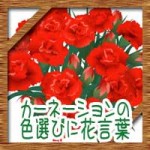 母の日にカーネーションの花束を!色選びや花言葉を詳しく