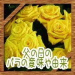 父の日2016年はいつで何月何日?バラの花を贈る意味や由来について