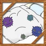 布団のカビ対策！フローリングや畳にすのこや除湿シートで予防できる？