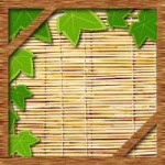 100均すだれの効果的な使い方！室内温度の低下に西日や紫外線対策