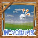 網戸から入ってくる虫除け対策!虫よけ効果におすすめの方法は?