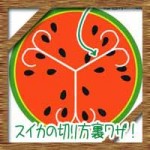 スイカの切り方の裏技※種なしで種が取りやすい甘さを均等にする方法