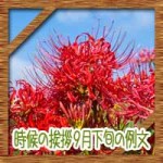 時候の挨拶9月下旬の候に結び!ビジネスの手紙やお礼状の例文は?