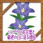 リンドウの花言葉の由来や怖い意味?敬老の日に送る理由が…