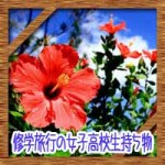 修学旅行の女子高校生持ち物※隠し場所に女子力ある!な便利グッズ