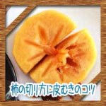 柿の切り方に皮むきのコツ！種ありでおしゃれなカット方法