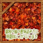 錦秋の候の意味読み方に時期はいつからいつまで?時候の挨拶例文集