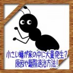 小さい蟻が家の中マンションに大量発生？原因や駆除退治方法！
