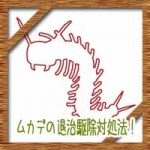 ムカデの退治駆除対処法！子供がいる家の中アパートでの対策法