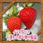 イチゴ狩りで子連れの持ち物や服装!楽しむコツや時期はいつ頃?