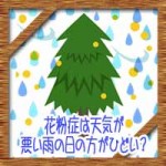 花粉症は天気が悪い雨の日の方がひどい？原因対策法について