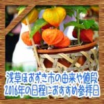 浅草ほおずき市の由来や値段!2016年の日程開催時間におすすめ参拝日