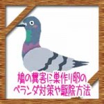 鳩の糞害に巣作り卵のベランダ対策や駆除方法!100均グッズで鳩よけ!