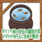 ボウフラ(蚊の幼虫)の駆除対策!メダカや10円玉に洗剤で撃退!