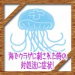 海でクラゲに刺された時の対処法に症状!薬での処置に時期はいつ頃?