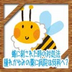 蜂に刺された時の対処法!応急処置や腫れかゆみの薬に病院は何科へ?