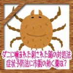 ダニに噛まれた刺された跡の対処法!症状予防法に市販の効く薬は?