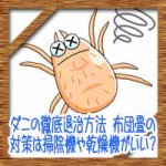ダニの徹底退治方法!布団畳の駆除対策は掃除機や乾燥機がいい?