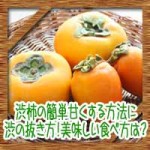 渋柿の焼酎で簡単甘くする方法に渋の抜き方!美味しい食べ方は?