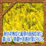 秋の花粉症と風邪の原因症状に違いは?時期や改善対策について
