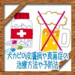 痛み止め(ロキソニン)風邪薬はアルコールお酒と併用NG!空ける間隔は?