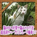 猫のふん対策や猫よけの方法!超音波やハーブにスプレーで簡単に?